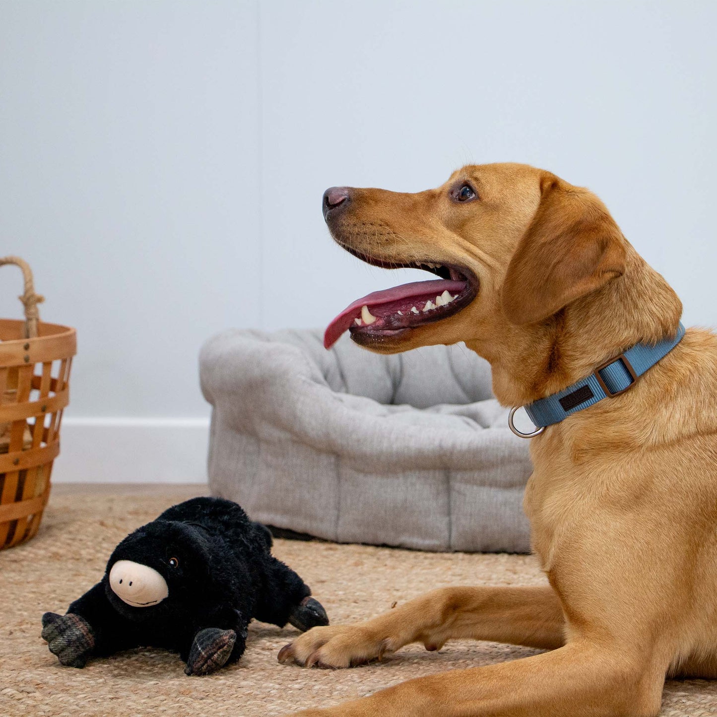 Heritage Montgomery Mole Plush Dog Toy