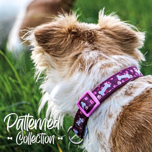 Patterned Collection Collar : Purple Bones