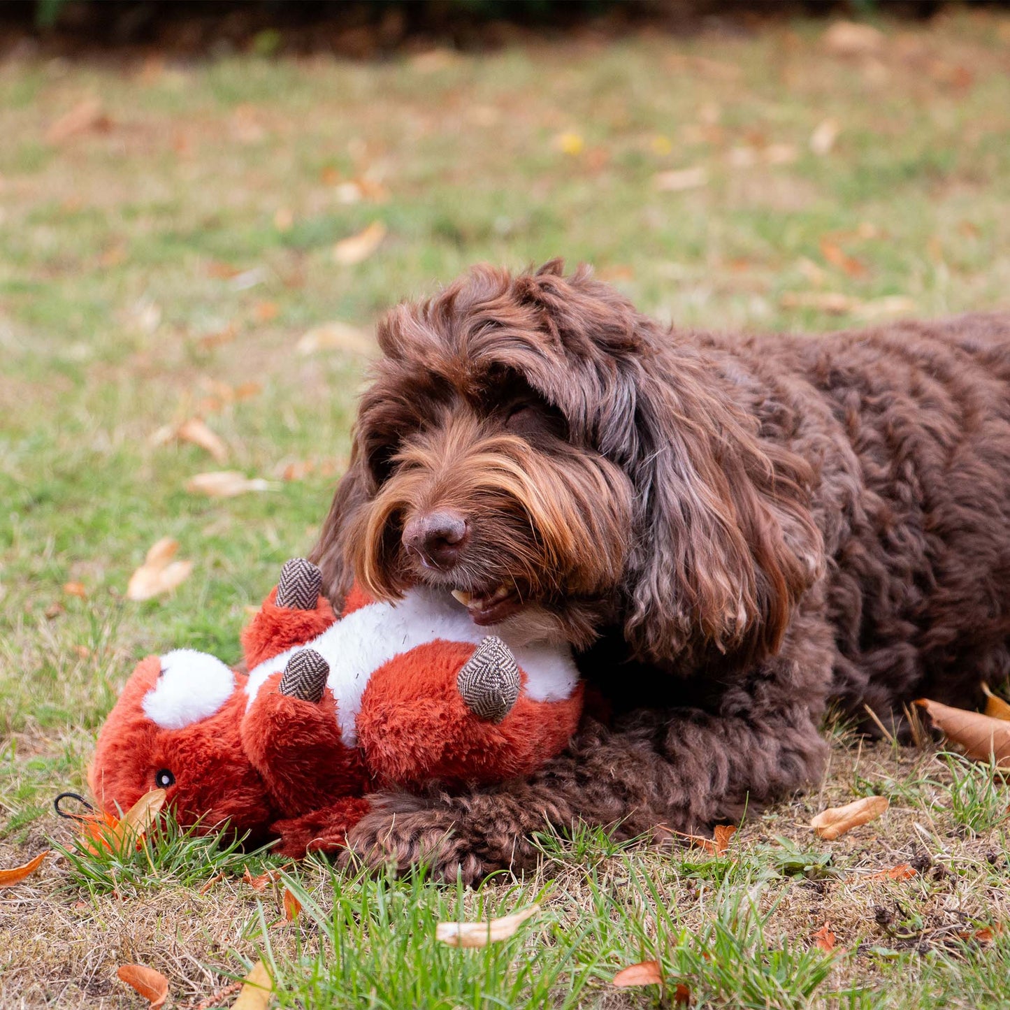 Heritage Samantha Squirrel Dog Toy with squeak & crinkle