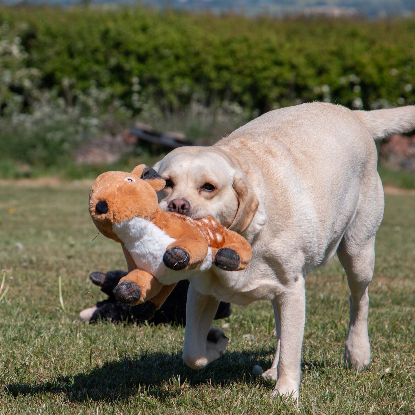 Heritage Delilah Deer Plush Dog Toy ( No Squeak)