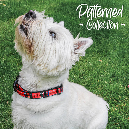 Patterned Collection Collar : Tartan