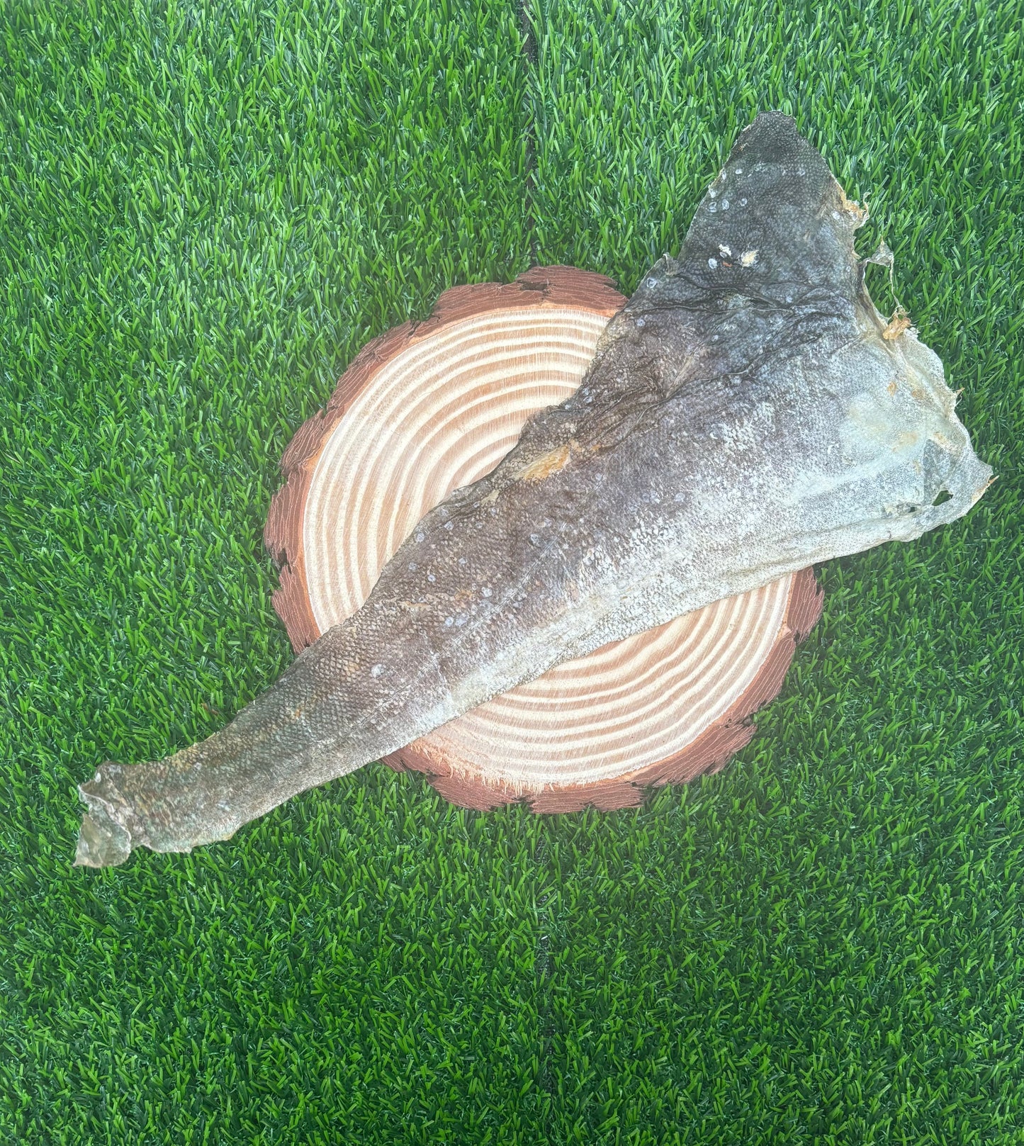 Fish Skin Flats
