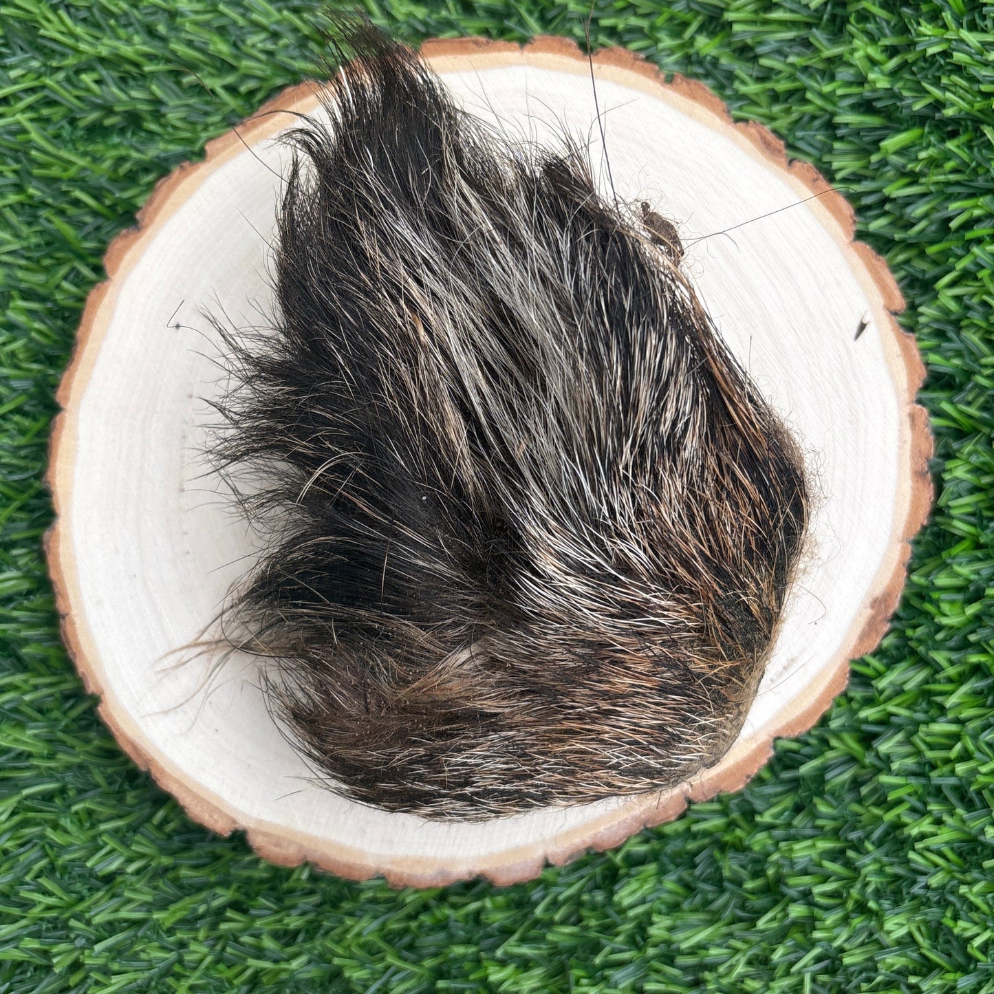 Hairy Wild Boar Ear