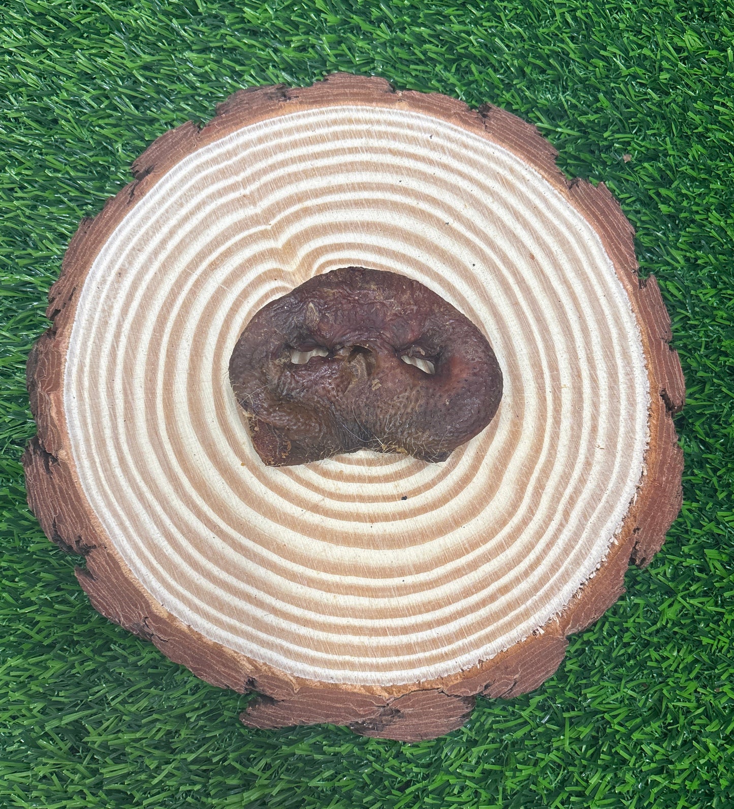 Pig Snout