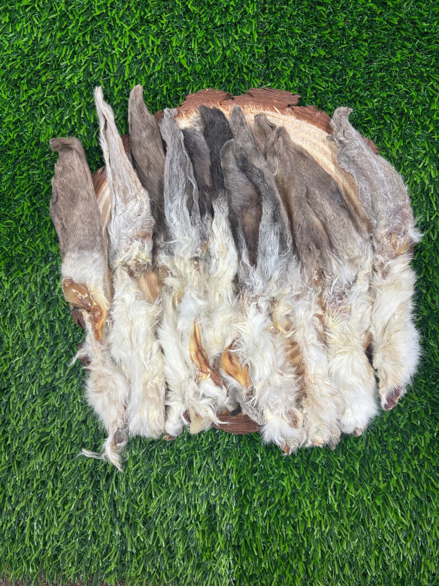 Saver Saturday-Rabbit Ear Bundle