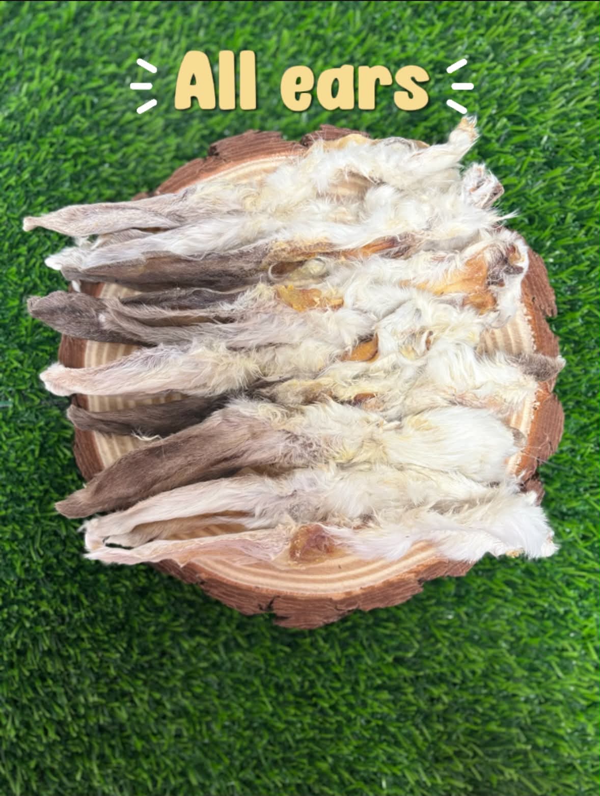 Fiver Friday- All Ears- 10 rabbit ears