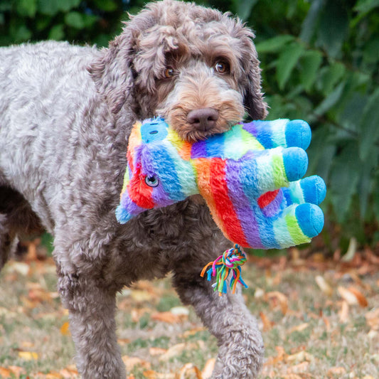 Pawty Piñata