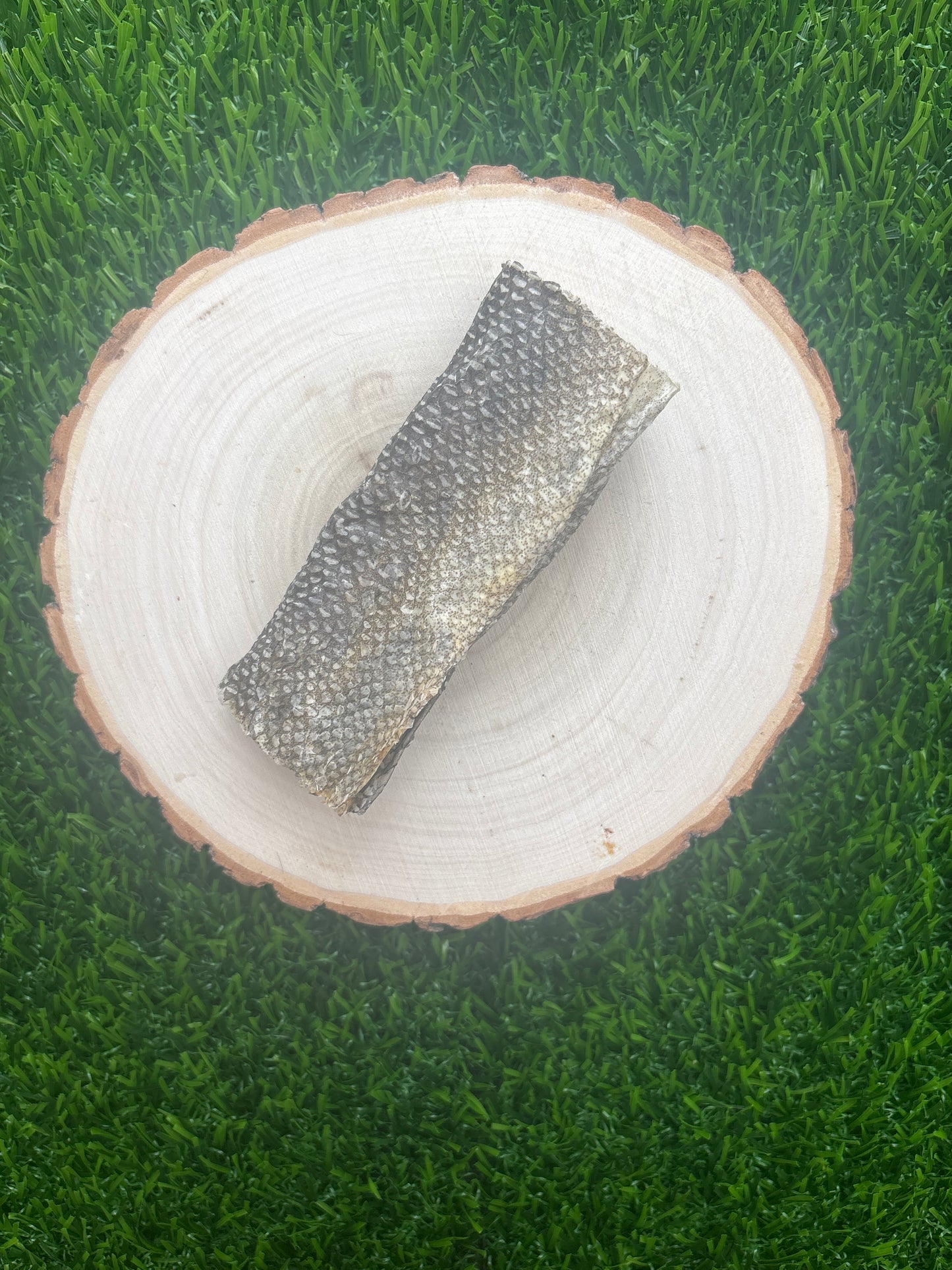 Fish Skin Flatties
