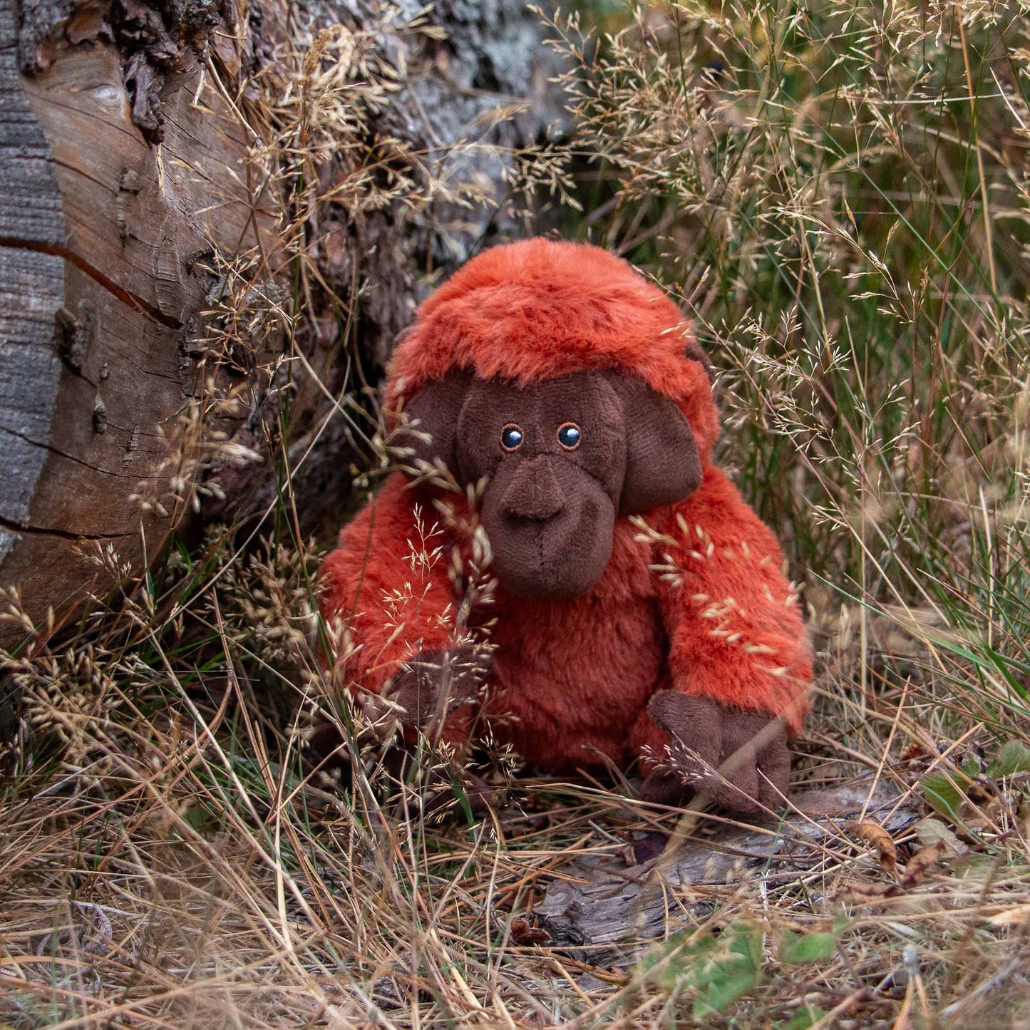 Ozzy Orangutan Mini Made From Dog Toy