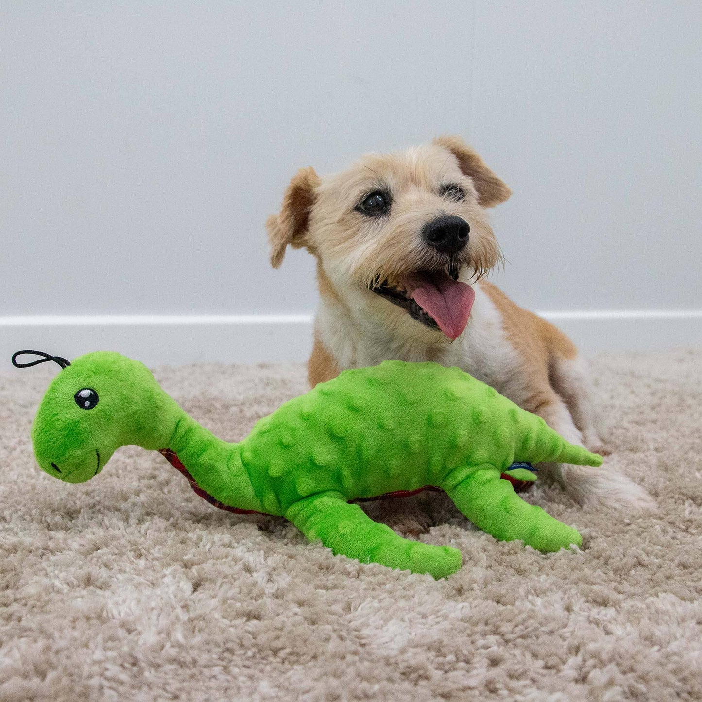 Playtime for Dogs Cuddle Lottie Loch Ness Monster