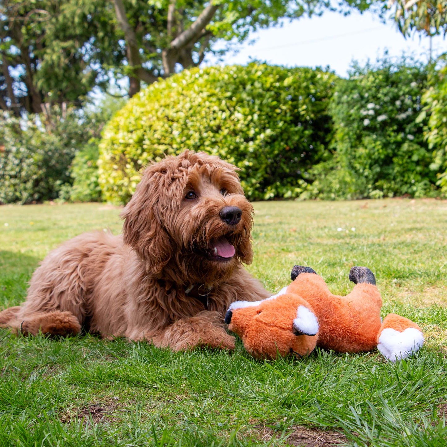 Heritage Felicity Fox Dog Toy with crinkle