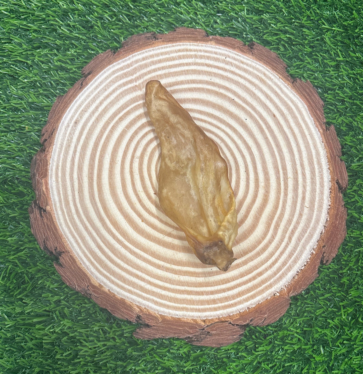 Goat Ear
