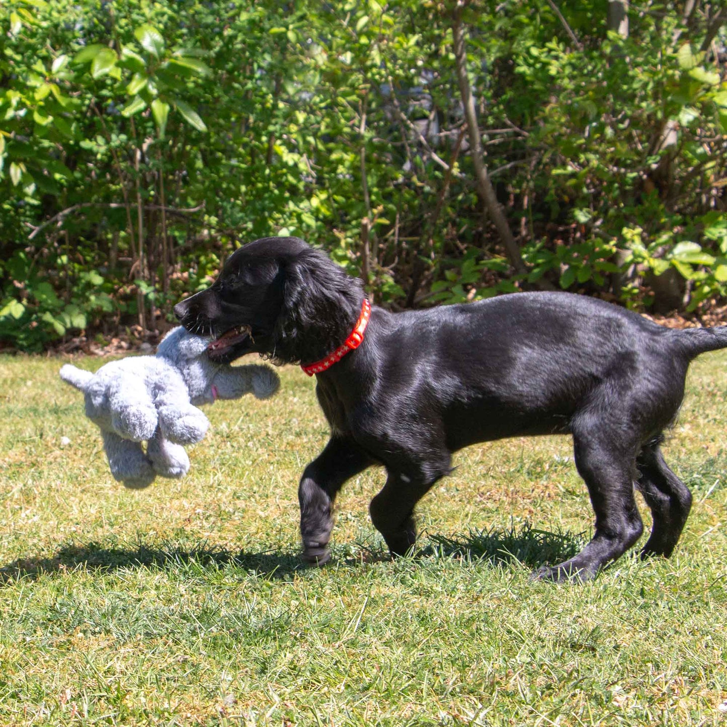 Small Bite Grey Elephant  Toy for Puppies & Smaller Dogs