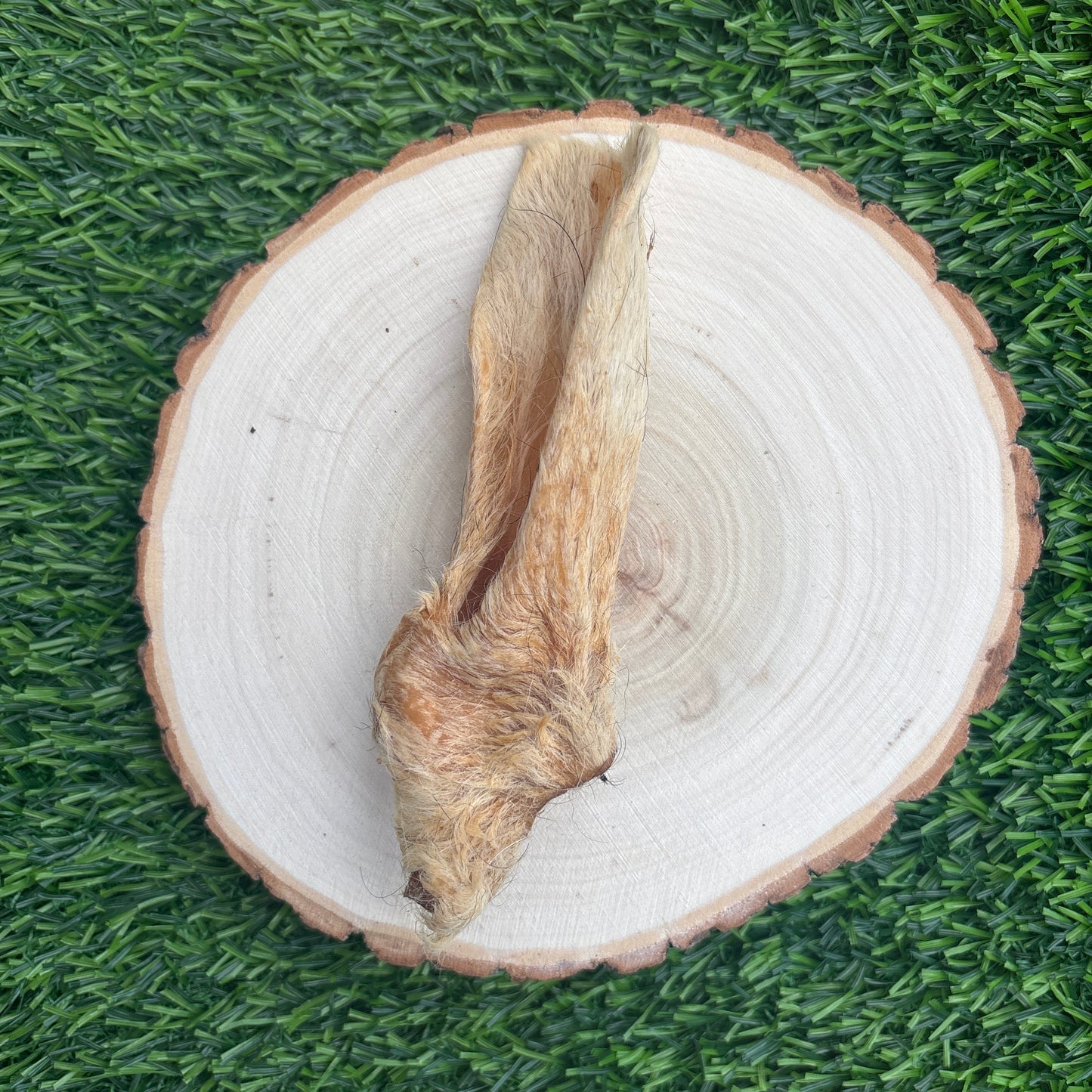 Lamb Ear With Fur