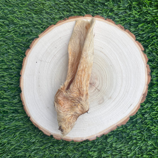 Lamb Ear With Fur