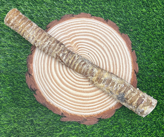 Long Trachea - 40cm