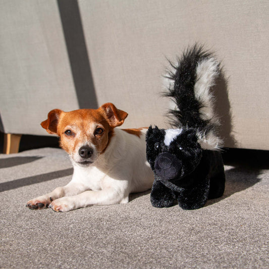 Playtime For Dogs Cuddle Plush Skunk