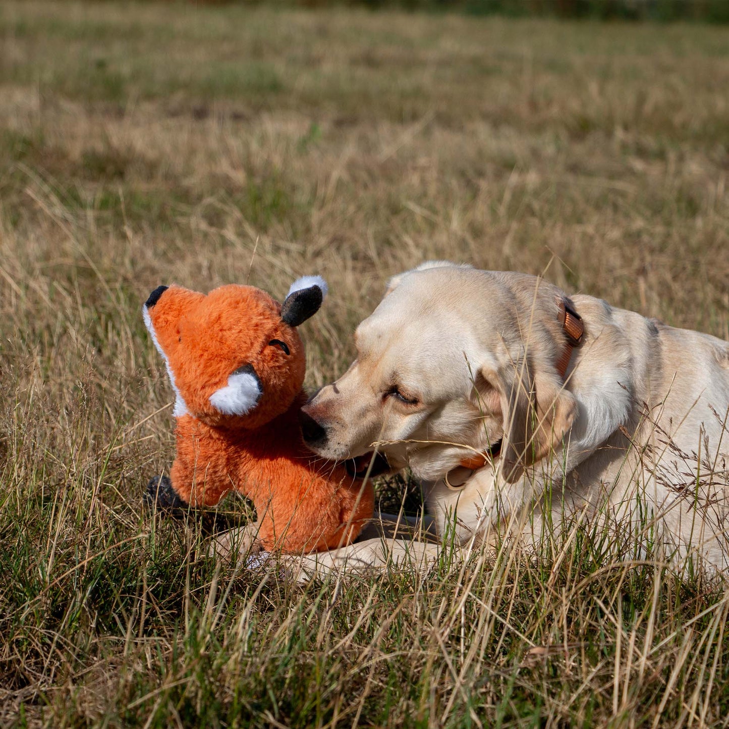 Heritage Felicity Fox Dog Toy with crinkle