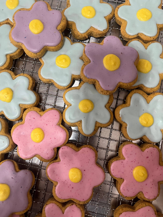 Flower Biscuit