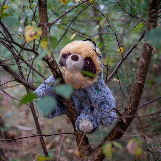 Scout Sloth Mini Made From Dog Toy
