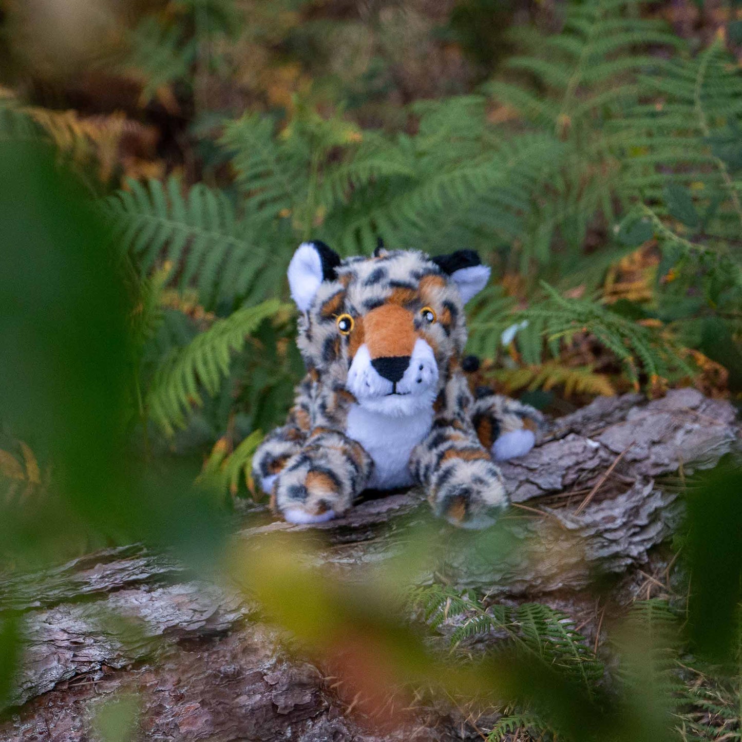 Leo Leopard Mini Made From Dog Toy
