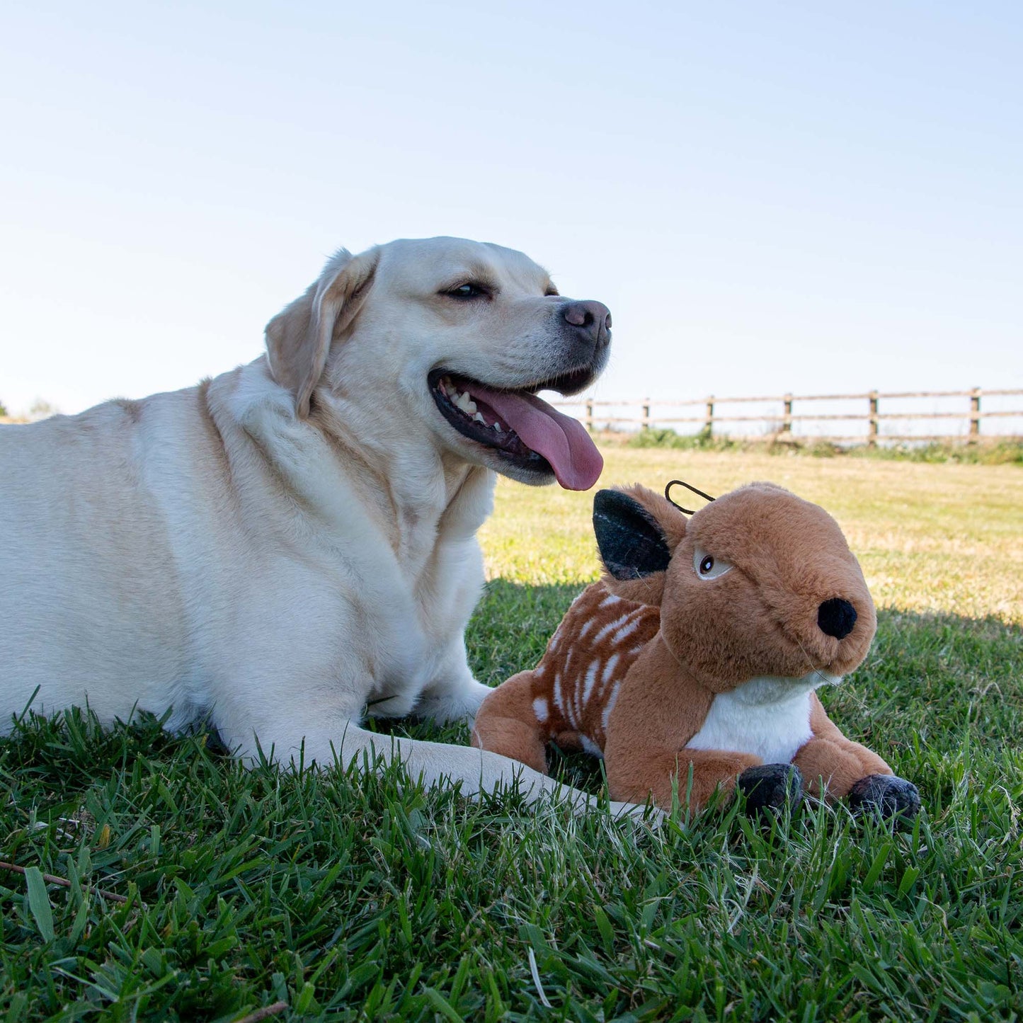 Heritage Delilah Deer Plush  Dog Toy ( No Squeak)