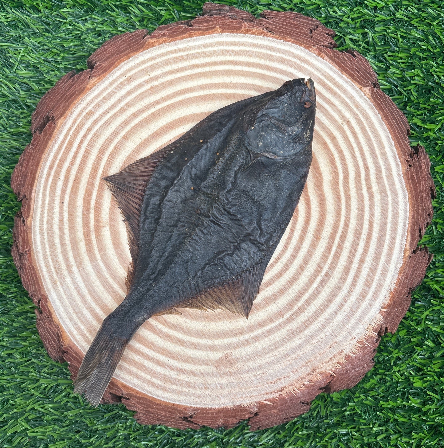 Fish Flounder