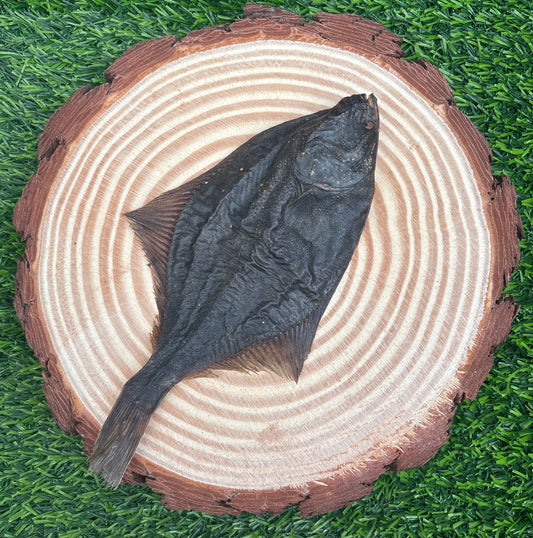 Fish Flounder