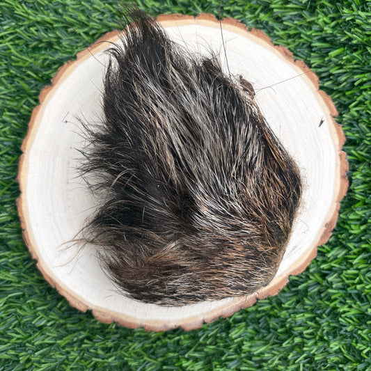 Hairy Wild Boar Ear