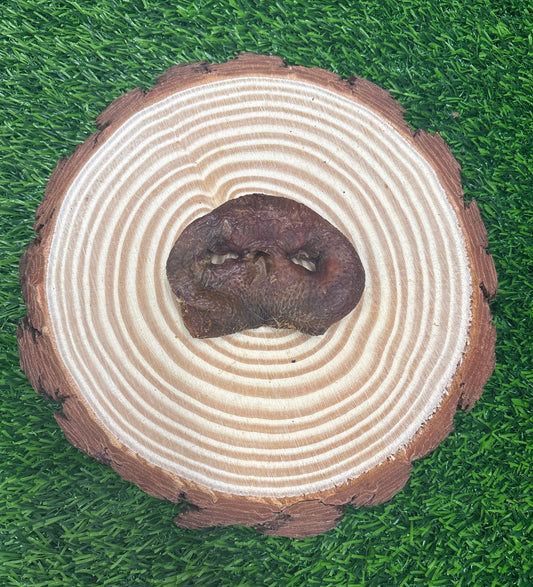 Pig Snout