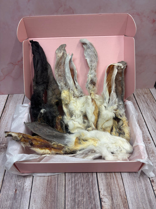 Rabbit Ear Bundle
