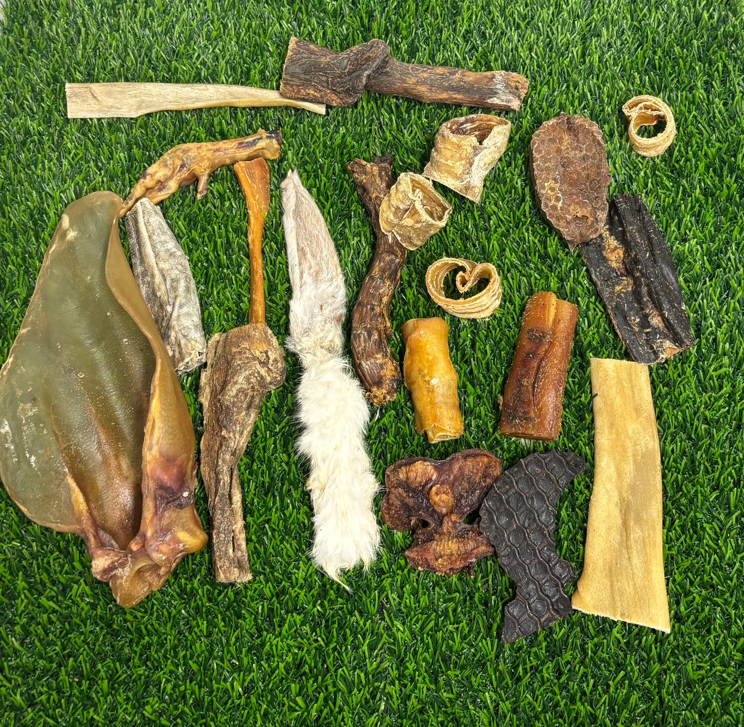 Fiver Friday - Mega Bundle