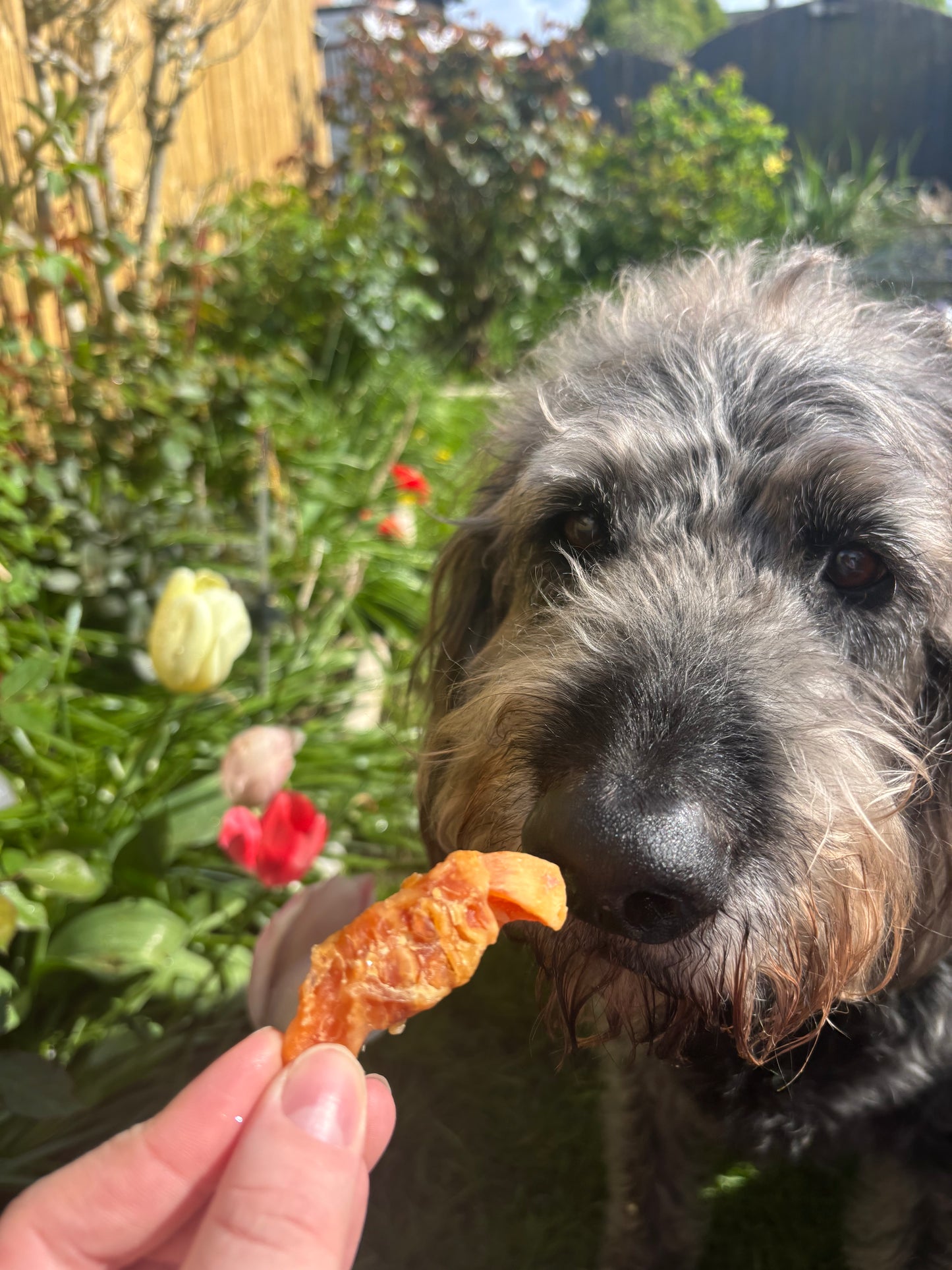 Sweet Potato Piece Wrapped in Chicken
