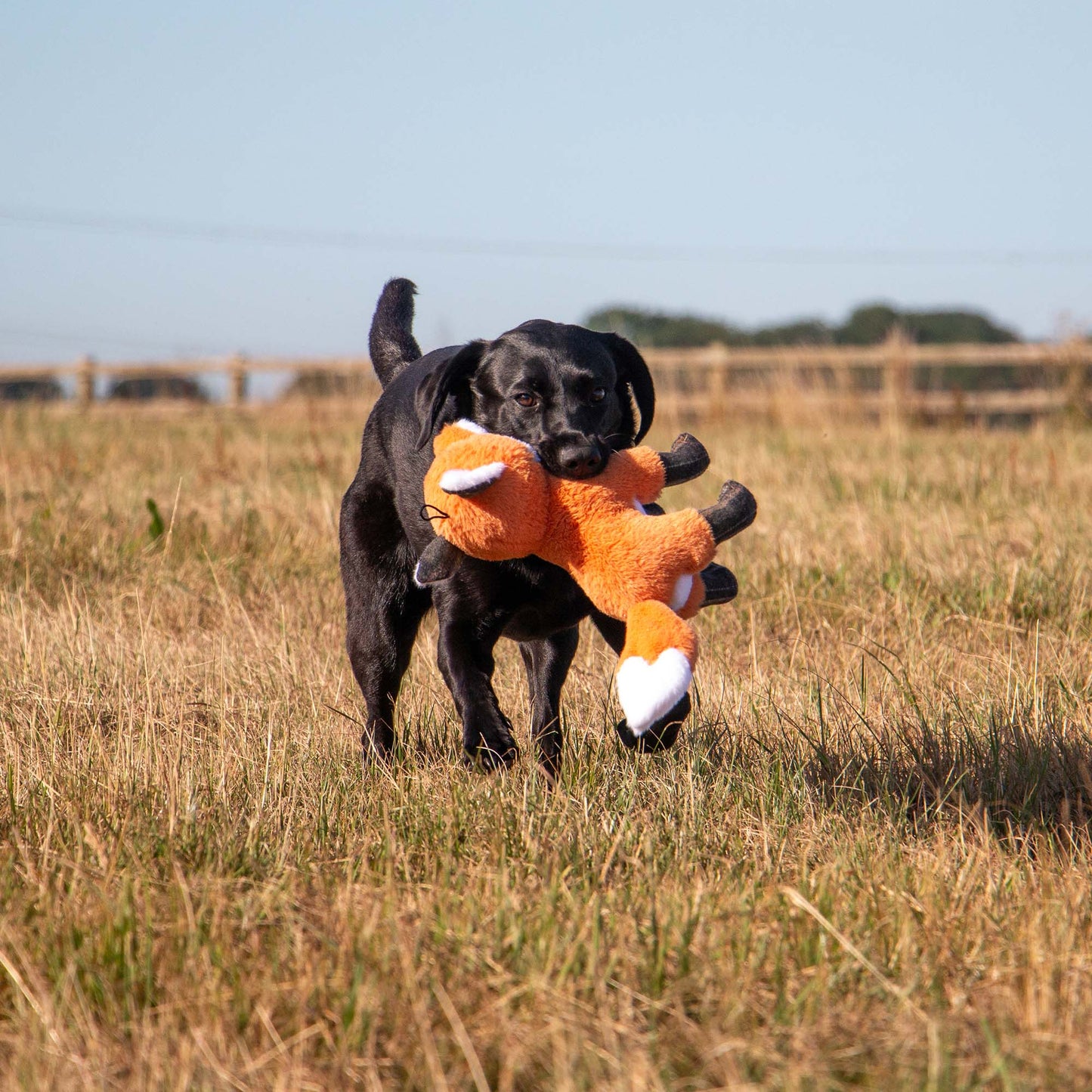 Heritage Felicity Fox Dog Toy with crinkle